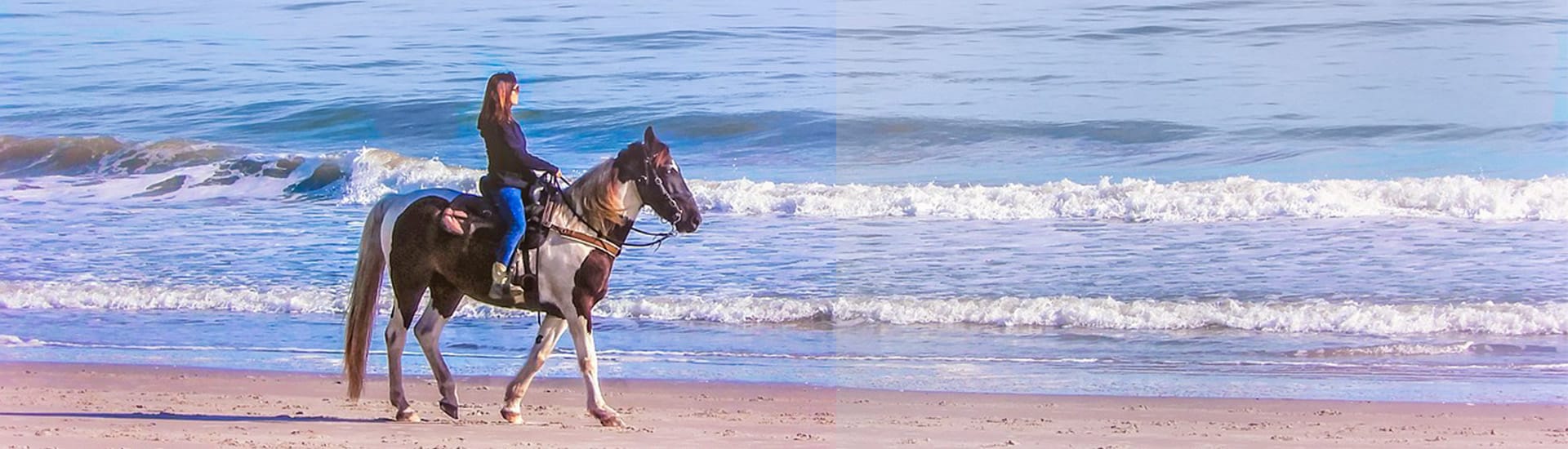 balade a cheval dans le medoc