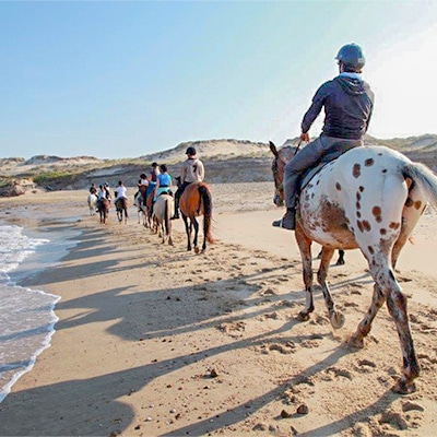 balade a cheval plage vensac