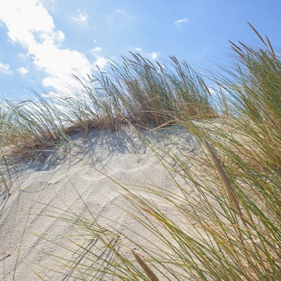 discover the medoc beaches